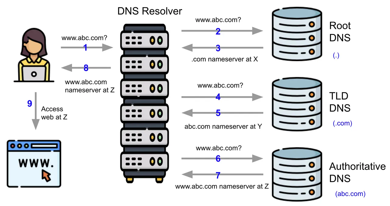 DNS Lookup